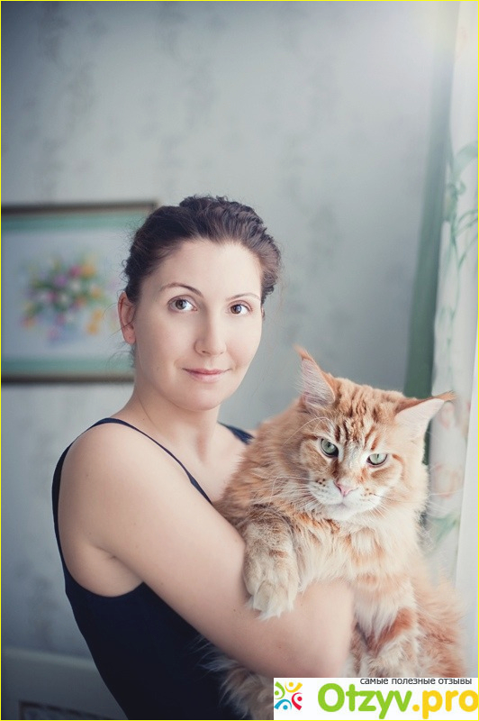 Книга "О людях, котах и маленьких собаках" 