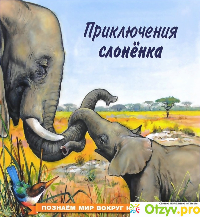 Яркая, красочная книжка с красивыми иллюстрациями – отличный помощник мамам