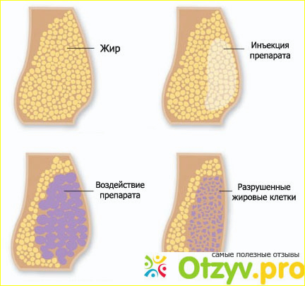 Как это работает и в каких зонах проводится корректировка