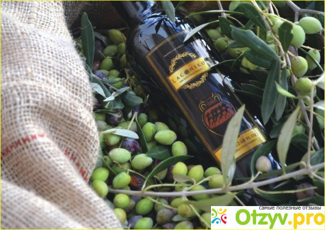 Как правильно выбрать оливковое масло? Видео фото1
