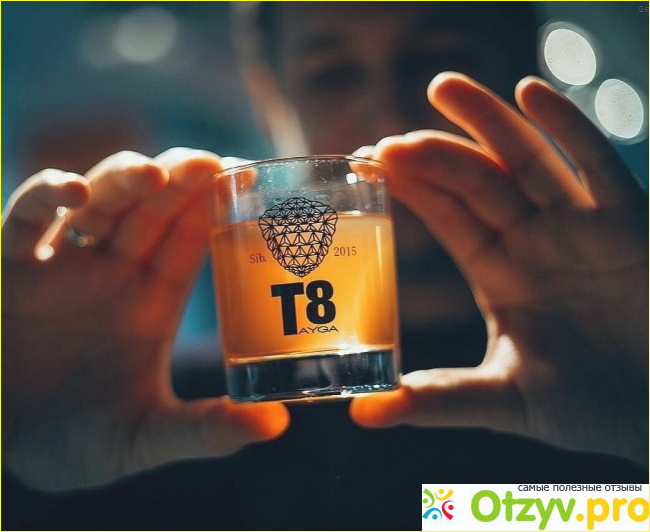 Отзыв о Tayga8