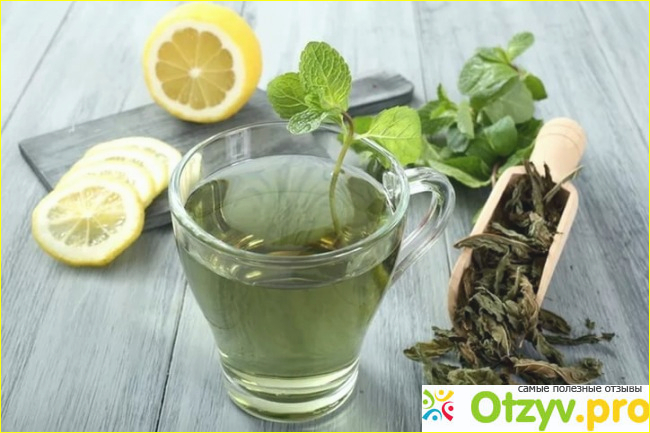 Эффективность зеленого чая для похудения