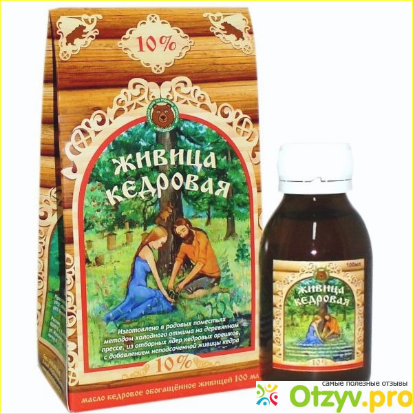 Как получают кедровую живицу