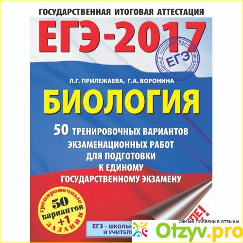 Где купить