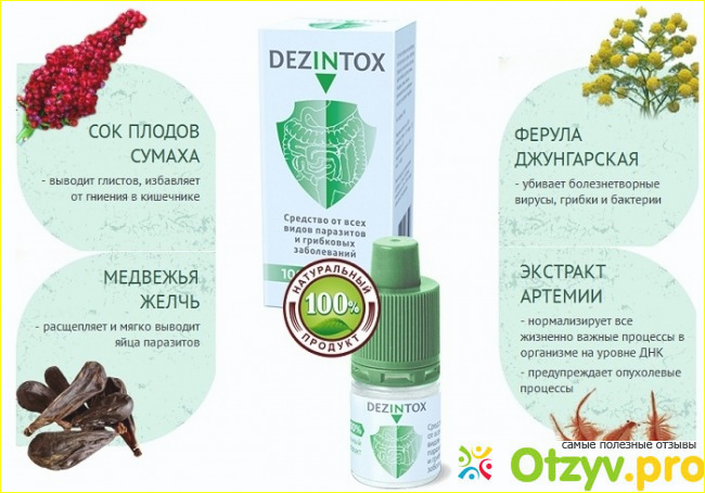 Отзыв о Дезинтокс отзывы реальные