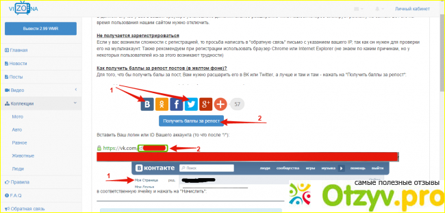 Отзыв о Vizona ru