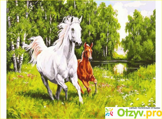 Где купить