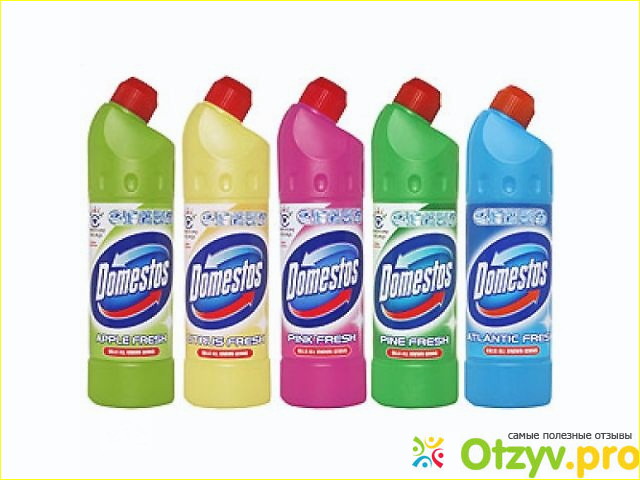 Средство универсальное Domestos хвойная свежесть фото1