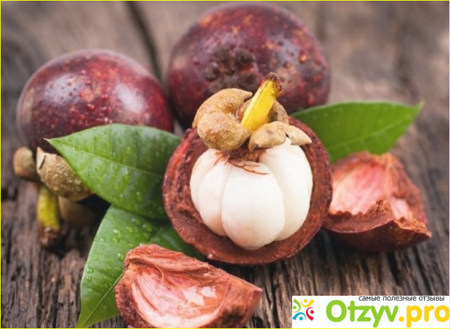 Mangosteen сироп как действует