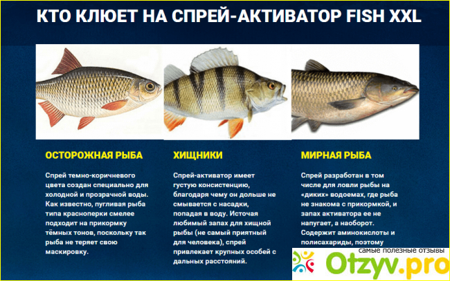 Fish xxl активатор клева