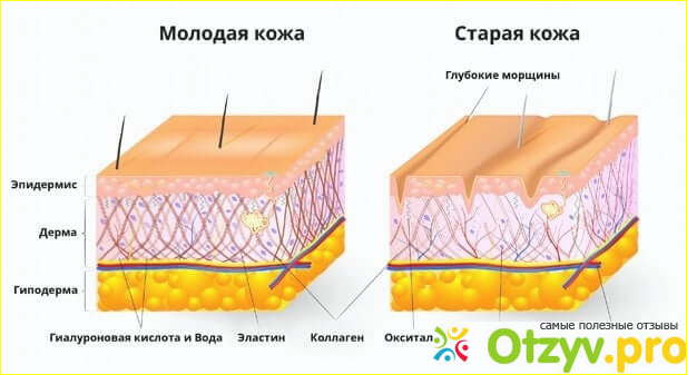 Состав средств Armeria