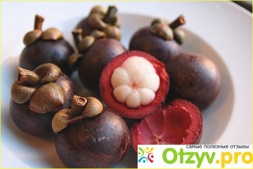 Отзыв о Mangosteen цена