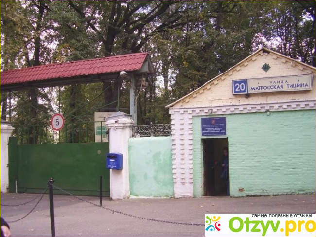 Отзывы