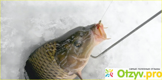 Отзыв о Активатор клева fish xxl для зимней рыбалки