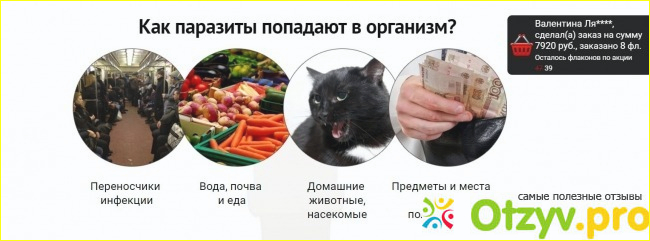 Отзыв о Intoxic средство от паразитов: реальные отзывы