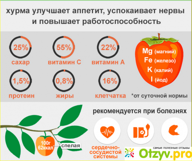 Хурма для похудения: польза и вред, можно ли есть фото1