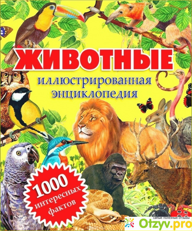 Книга Домашние животные фото2