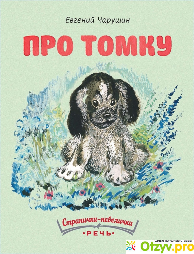 О чем рассказы из книги «Про Томку»?