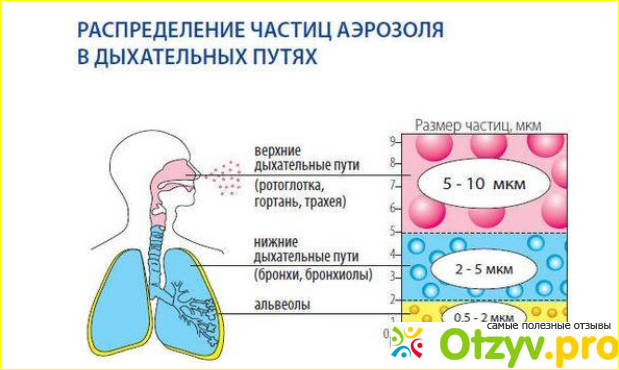 Правила проведения ингаляции.