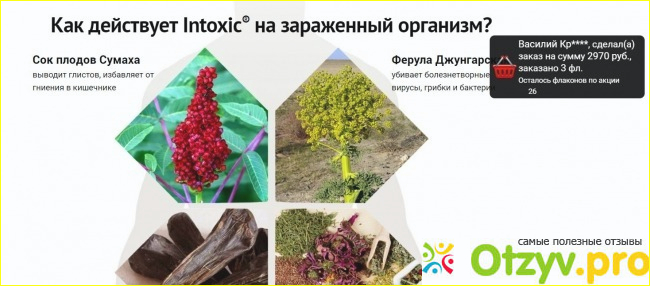 Intoxic средство от паразитов: реальные отзывы фото1