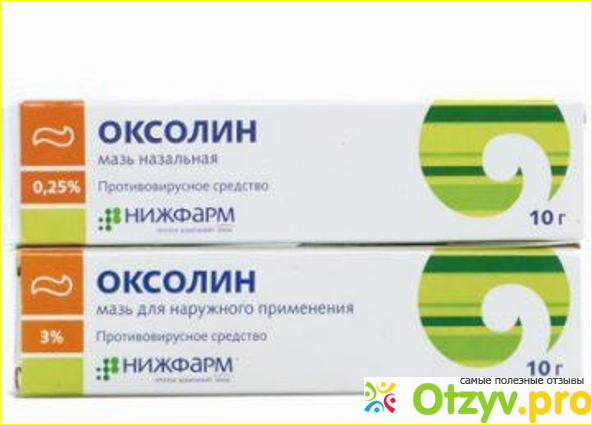 Заключение 