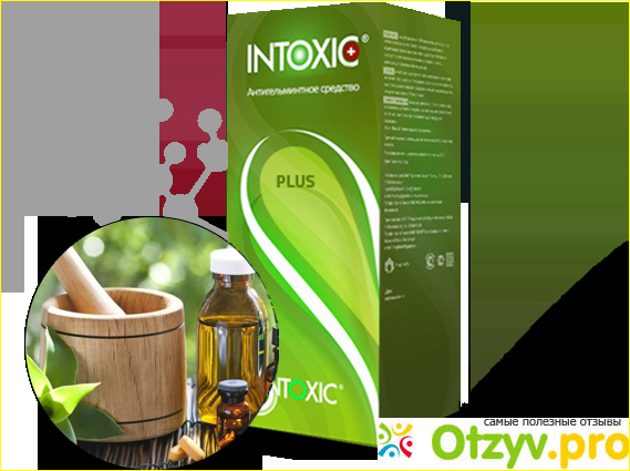 Intoxic plus где купить