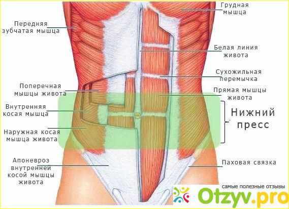 Заключение.