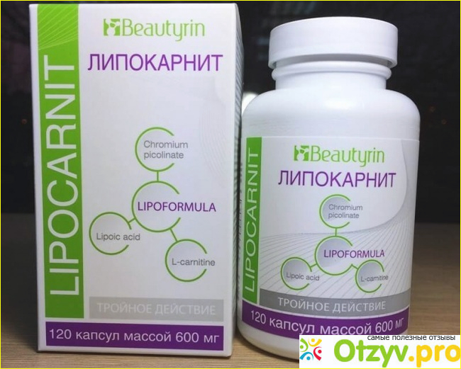 Где можно купить Lipocarnit