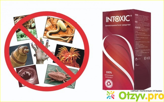 Почему я решила купить именно«Intoxic»?