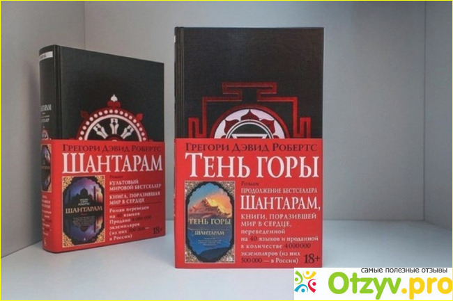 Книга Тень горы фото2