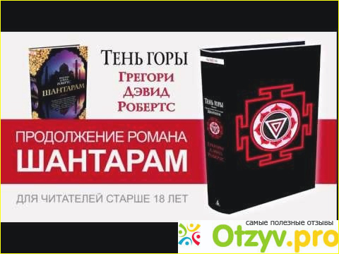 Книга Тень горы фото1