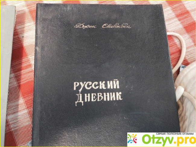 2 Коротко о сюжете «Русского дневника»