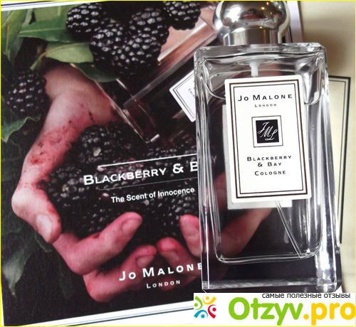 Отзыв о Одеколон Blackberry & Bay Jo Malone