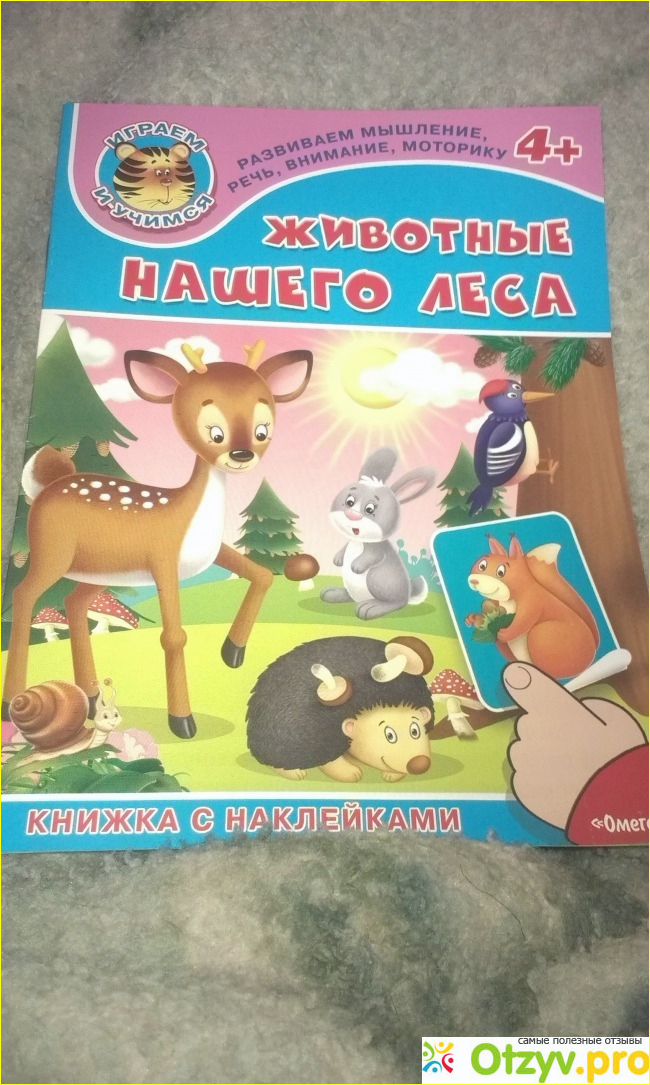 Животные нашего леса фото2