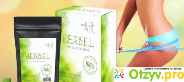 Где купить Herbel Fit?