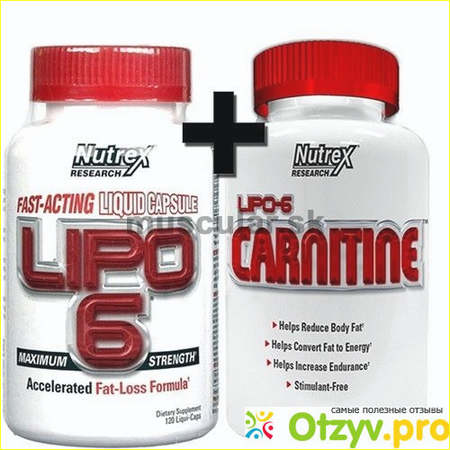 Lipo 6 carnitine nutrex отзывы фото2