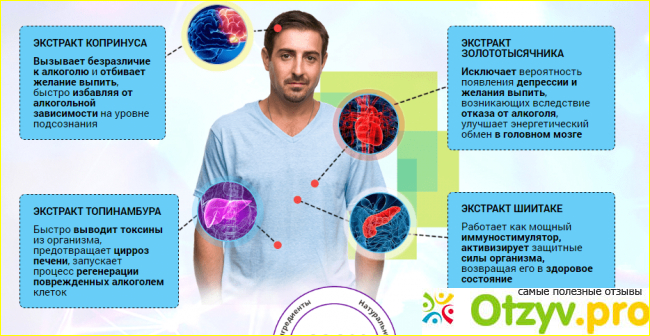 Препарат Аlkotoxic состав