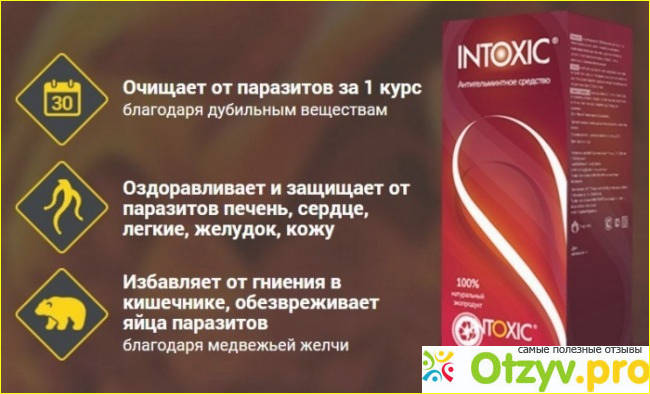 Интоксик форум отзывы