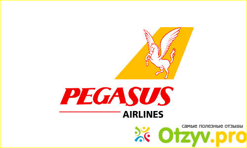 Отзыв о Pegasus