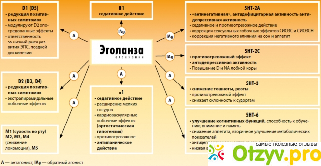 Что из себя представляет препарат «Эголанза»