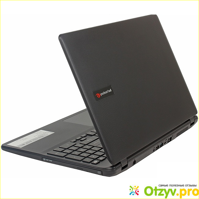 Основные характеристики ноутбука Packard Bell ENTG81BA-P1MV