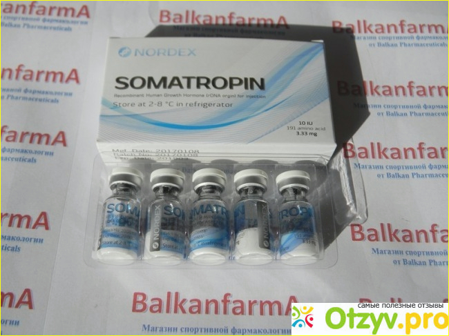 Соматропин купить ростов. Соматропин препараты. Соматотропин гормон роста. Гормон роста Somatropin. Соматотропин в инъекциях.
