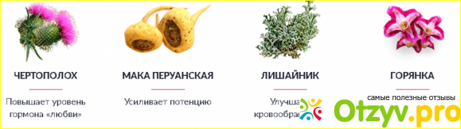 StandUp Gel состав