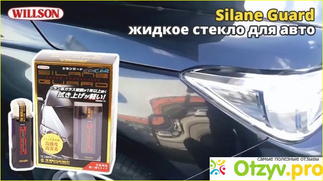 О чем говорят про silane guard отзывы?