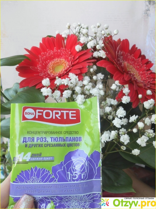Отзыв о Концентрированное средство для срезанных цветов Bona Forte
