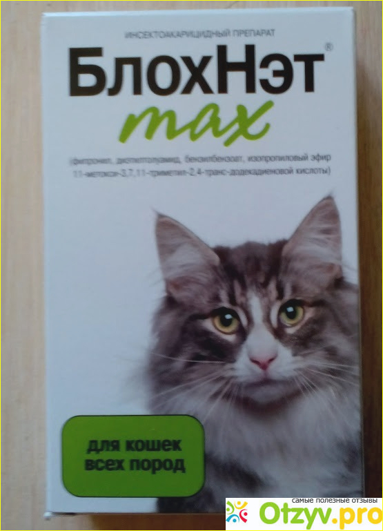 Отзыв о Инсектоакарицидный препарат БлохНэт max для кошек и котят всех пород