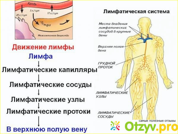 Отзыв о Чистка лимфы