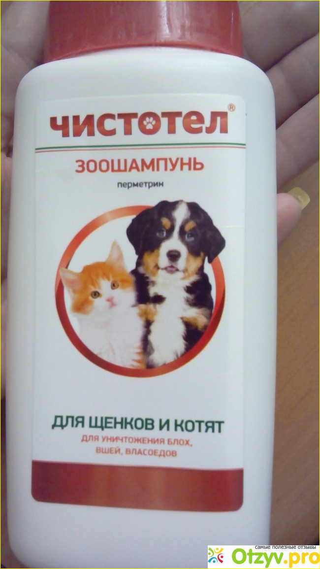 Отзыв о Шампунь Чистотел антипаразитный для кошек и собак