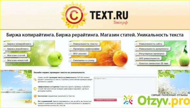 Заработок с Text.ru