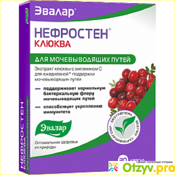 Состав препарата Нефростен следующий: